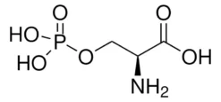 Фосфо-L-серин