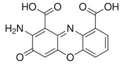 Кинабариновая кислота