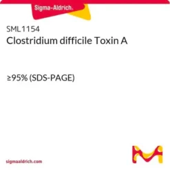 Токсин A Clostridium difficile