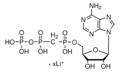 α,β-метиленАТФ