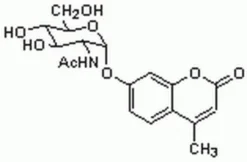 4-Метилумбеллиферил-N-ацетил-α-D-глюкозаминид