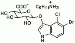 5-Бром-4-хлор-3-индолил-β-D-глюкуроновая кислота, соль циклогексиламмония