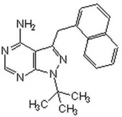 1NM-PP1 (Аналог PP1 II)