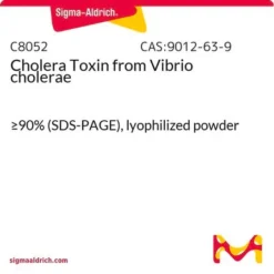 Холерный токсин из Vibrio cholerae