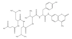 Н-сукцинил-Лей-Лей-Вал-Тир-7-амидо-4-метилкумарин