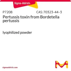Токсин коклюша (Pertussis toxin) из Bordetella pertussis