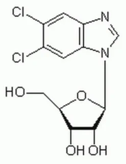 5,6-Дихлоро-1-β-D-рибофуранозилбензимидазол
