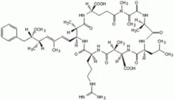Микроцистин-LR, Microcystis aeruginosa