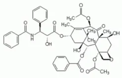 Paclitaxel, <i>Taxus </i>sp<i>.</i>