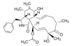 Цитохалазин D, Zygosporium mansonii