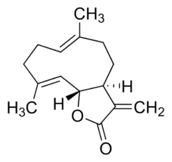 Костусолид