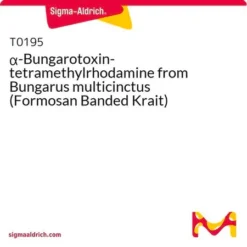 Альфа-Бунгаротоксин-тетраметилродамин (TMR-α-BTX)