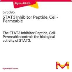 Ингибитор пептида STAT3, клеточно-проницаемый