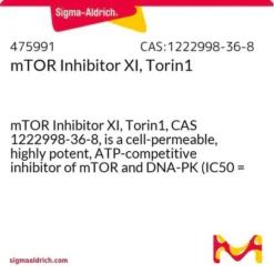 mTOR Inhibitor XI, Torin1