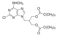 2,2-диметилпропионовой кислоты эфир 3-(2-хлор-6-метиламинопурин-9-ил)-2-(2,2-диметилпропионилоксиметил)пропиловый