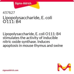 Липополисахарид E. coli O111:B4