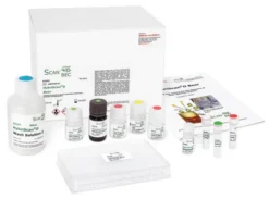 HybriScan™ I Pediococcus damnosus