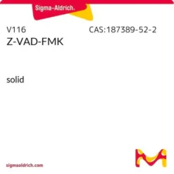 Z-VAD-FMK