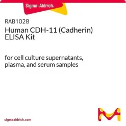 Человеческий CDH-11 (Кадгерин) ELISA набор
