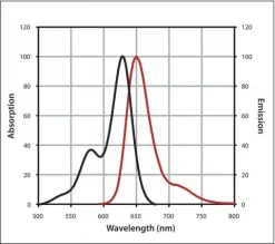 Антитело кроличий IgG (H+L) с CF 633