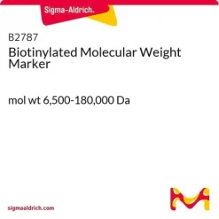 Биотинилированный маркер молекулярной массы (6,5-180 кДа)