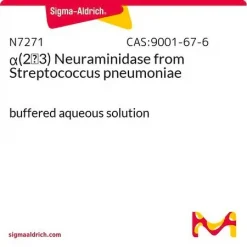 Нейраминидаза α(2→3) из Streptococcus pneumoniae