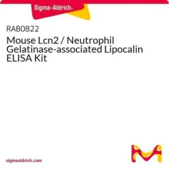 Набор ELISA для мышиного Lcn2/NGAL (липокалин-2, ассоциированный с желатиназой нейтрофилов)