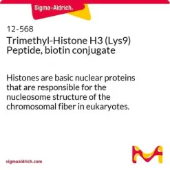 Триметил-гистон H3 (Lys9) пептид, биотиновый конъюгат