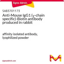 Антитело к мышиному IgG1 (γ-цепь) с биотином, кроличье
