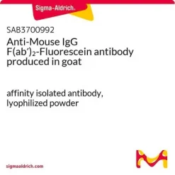 Антитело к IgG мыши (F(ab')2-фрагмент), меченное флуоресцеином, полученное на козе