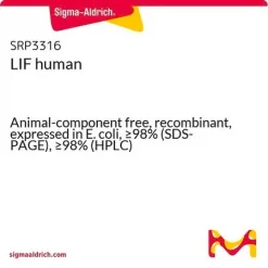 LIF человеческий