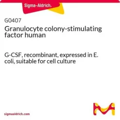Гранулоцитарный колониестимулирующий фактор человека (G-CSF)