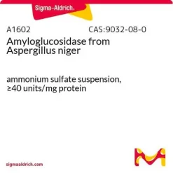 Амилоглюкозидаза из Aspergillus niger