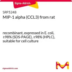 MIP-1 альфа (CCL3) крысы