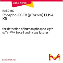 Набор ELISA для определения фосфорилированного EGFR (pTyr1086)