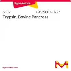 Трипсин (бычий)