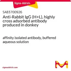 Антитело к IgG кролика (H+L), сильно перекрестно адсорбированное (ослиное)