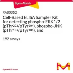 Набор для ELISA на клетках для детекции фосфо-ERK1/2 (pThr202/pTyr204), фосфо-JNK (pThr183/pTyr185) и фосфо-p38 MAPK (pThr180/pTyr182)
