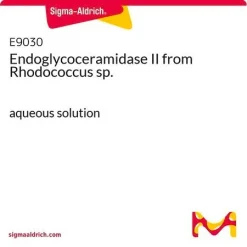 Эндогликозерамидаза II (Rhodococcus sp.)
