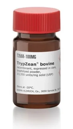 Трипсин рекомбинантный (TrypZean®)
