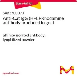 Антитела к IgG кошки (H+L), меченные родамином (TRITC), полученные в козе