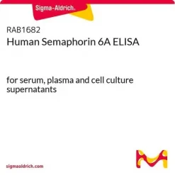 Семафорин 6A человека, ELISA набор