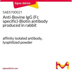 Антитело против бычьего IgG (Fc-специфичное)-Биотин, полученное в кролике