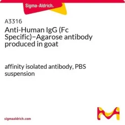 Антитело козы против IgG человека (Fc-специфичное)-агароза