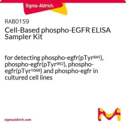 Набор для ELISA фосфо-EGFR (pTyr845, pTyr992, pTyr1068) на клеточных линиях