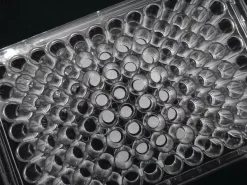 Поликапролактоновый каркас 3D Insert™ для 3D клеточных культур