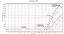 Набор для qPCR-детекции микоплазмы LookOut