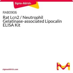 Набор ELISA для крысиного Lcn2 (нейтрофильный желатиназа-ассоциированный липокалин)