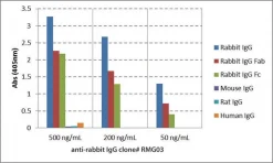 Антитело к IgG кролика, моноклональное козье, рекомбинантное, клон RMG03