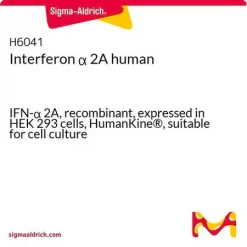 Интерферон альфа-2A